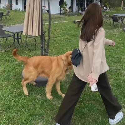 巧克力医生